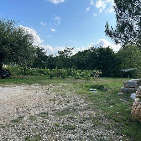 Au Coeur Des Bois Apartman Saint-Germain-du-Salembre Kültér fotó
